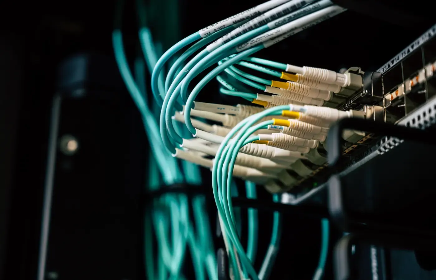 Fiber patch cables routed through a network switch in a server rack